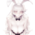 Аватар MofuBunny