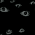 Аватар Dark and Darker