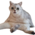 Аватар Garaldyoo