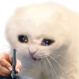Статус