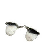 Статус
