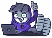 Sticker